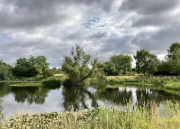 "Draper Cottage holiday cottage in Horncastle"