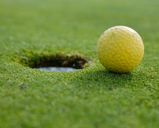 golf at Horncastle