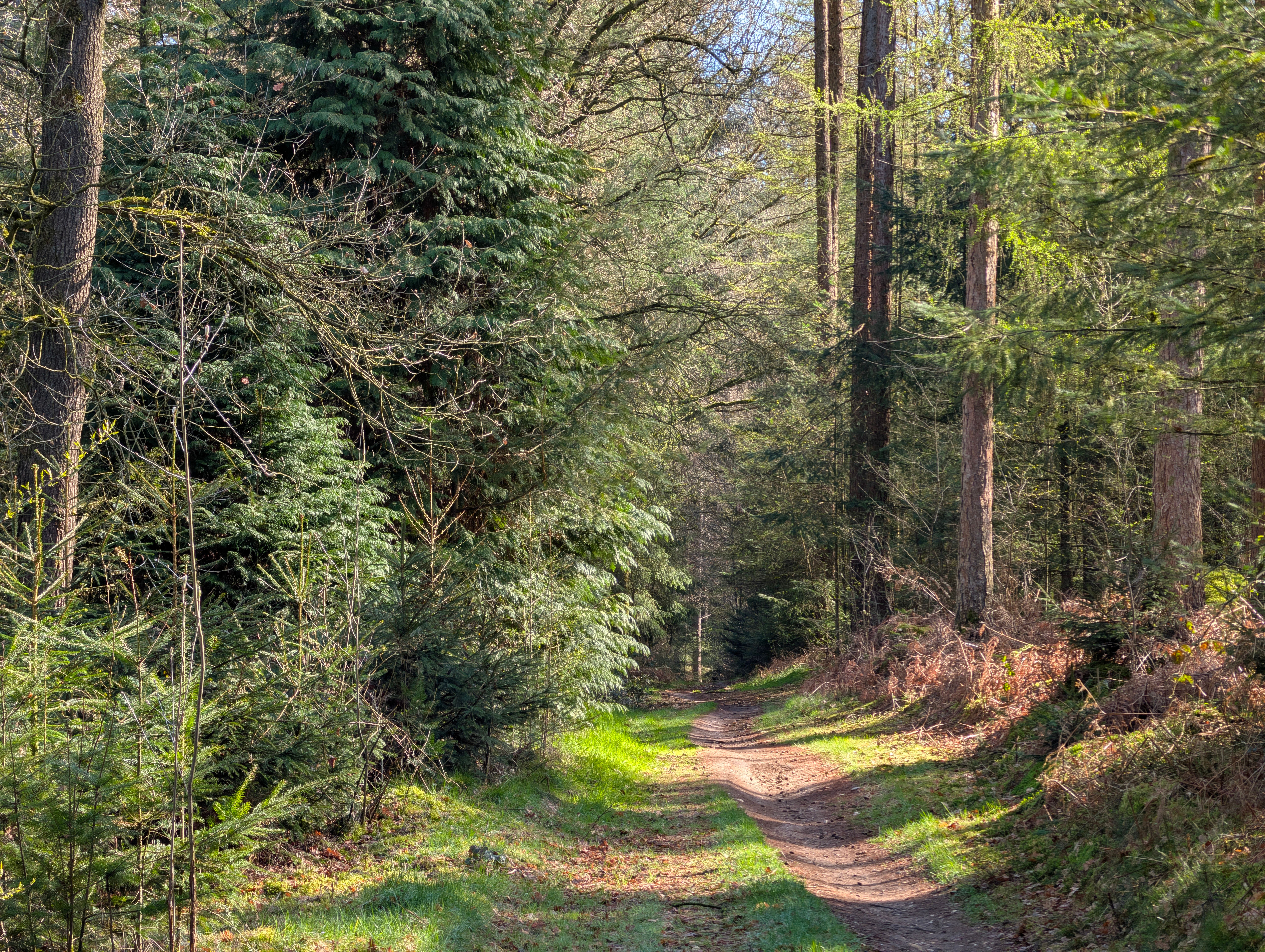 Hidden Gems of Horncastle – Discover the Secret Places Most Visitors Miss